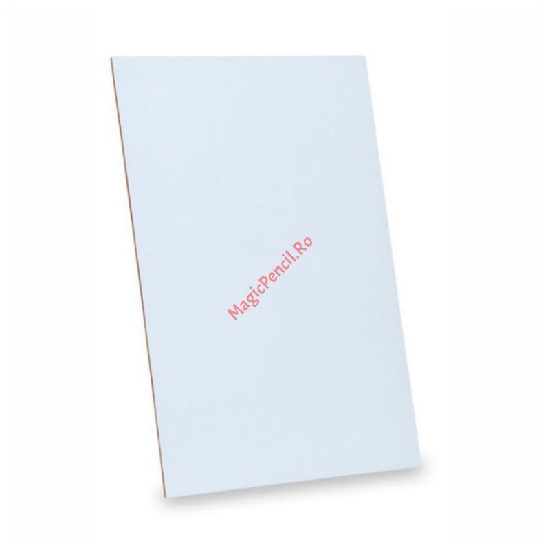 Panza canvas, fara rama, 24x30 cm